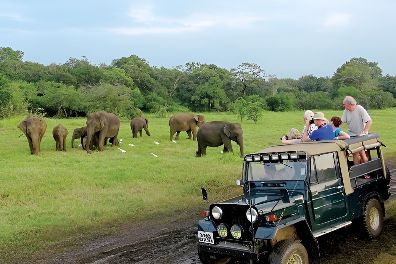Luxury Safari Experience in the Hidden Gem